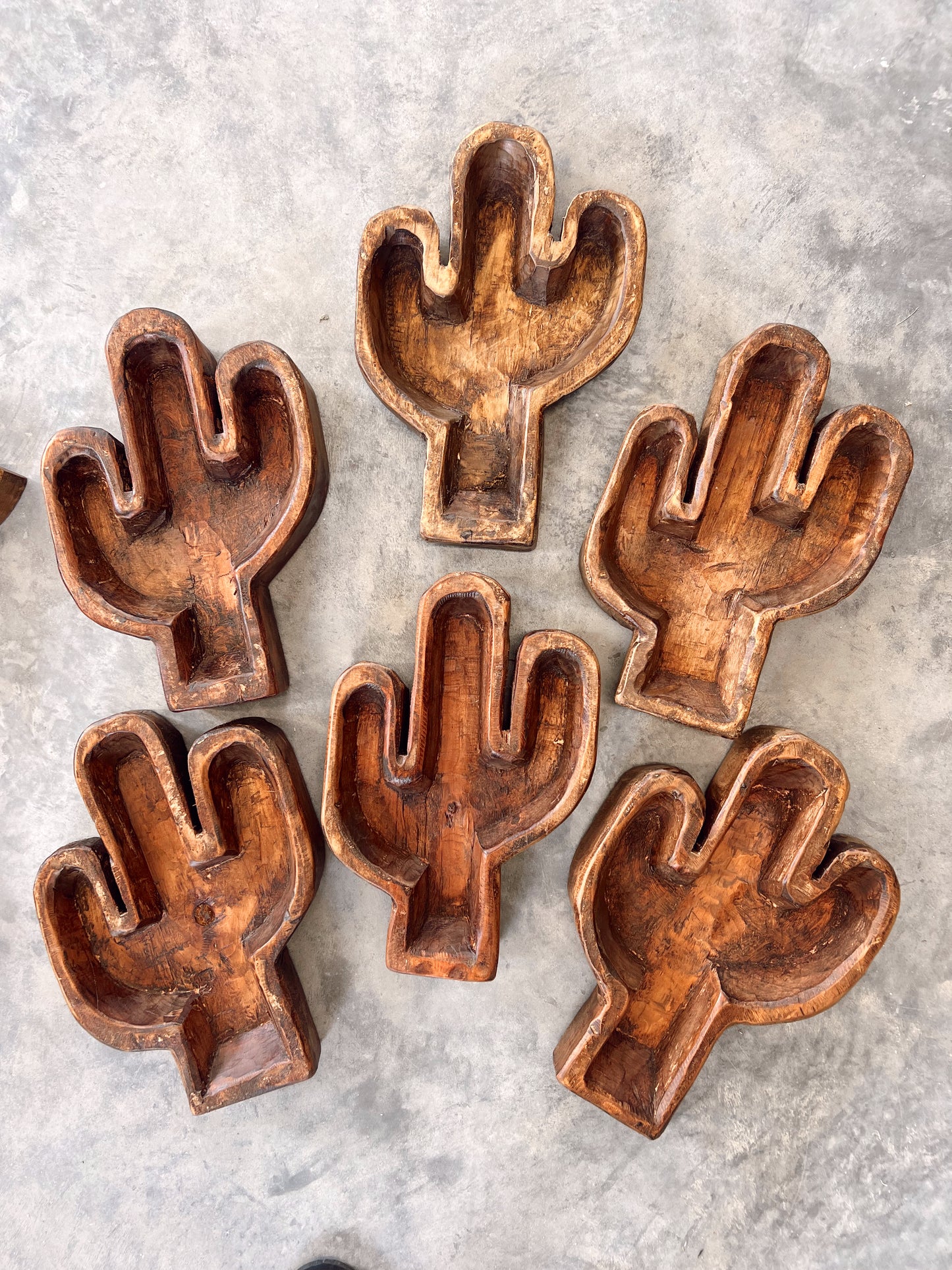 Cactus Wood Dough Bowl