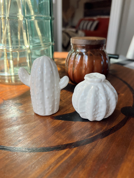 Cactus Salt & Pepper Shaker Set