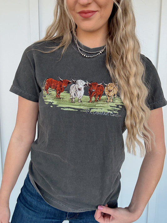 THE HIGHLAND HERD